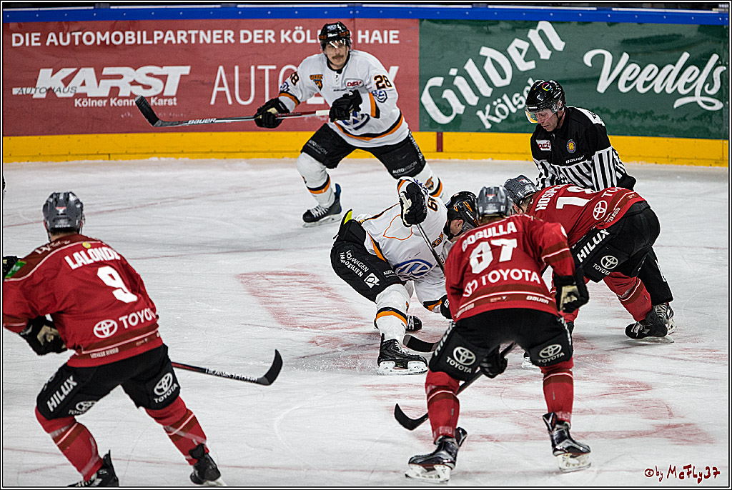 DEL, Koelner Haie - Grizzlys Wolfsburg, 21.03.2017